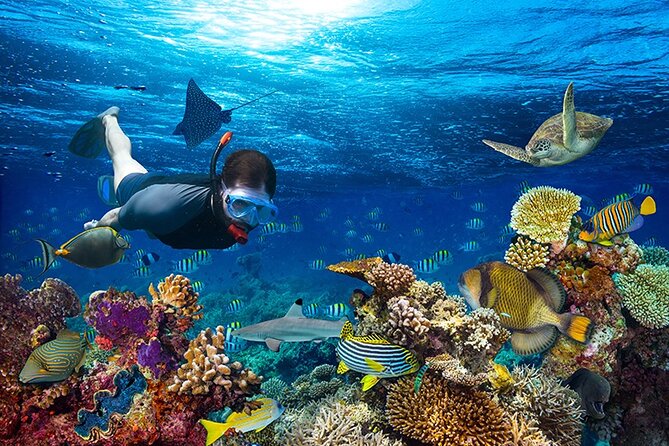 1 Hour Private Snorkeling Activity In Montego Bay - From your resort to Montego Bay’s beach