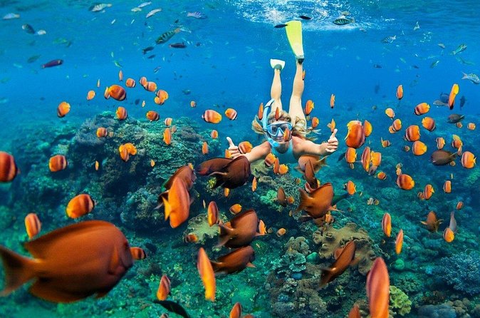 1 Hour Private Snorkeling Activity In Montego Bay - Cameras, water, and what to bring