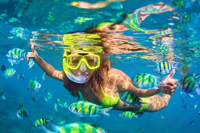 1 Hour Private Snorkeling Activity In Montego Bay - What the $110 price buys you