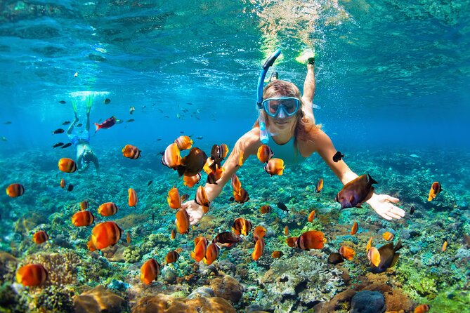 1 Hour Private Snorkeling Activity In Montego Bay - Who will get the most from this outing