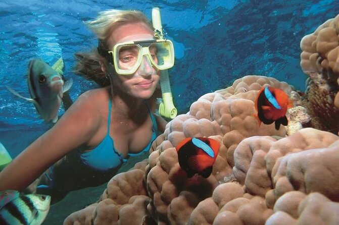 1 Hour Private Snorkeling Activity In Montego Bay - Weather, timing, and cancellation rules