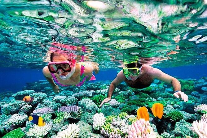 1 Hour Private Snorkeling Activity In Montego Bay - The private boat ride to the reef