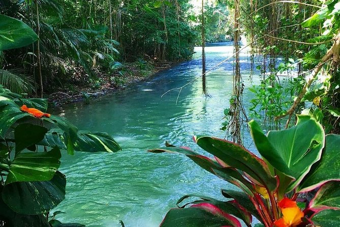 #1 Martha brea bamboo rafting - Your private pickup from Montego Bay