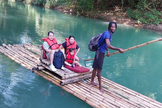 3 Hours Private Tour in Montego Bay From Falmouth - What the private minibus changes