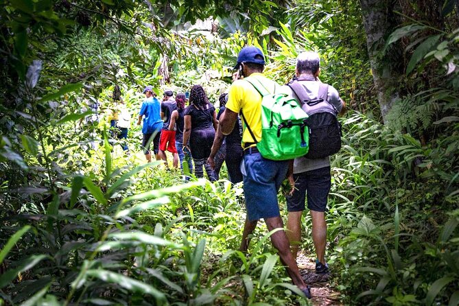 4-Hours Bike, Hike & Waterfall Tour in Blue Mountain with Lunch and Pick Up - Key points to know before booking