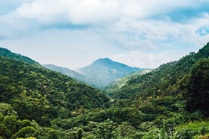 4-Hours Bike, Hike & Waterfall Tour in Blue Mountain with Lunch and Pick Up - Jamaican brunch at a 200-year-old coffee post