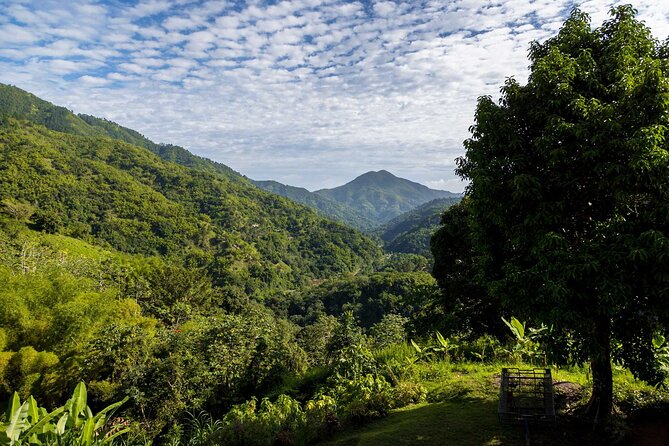 4-Hours Bike, Hike & Waterfall Tour in Blue Mountain with Lunch and Pick Up - The second bike ride and secluded waterfall finish