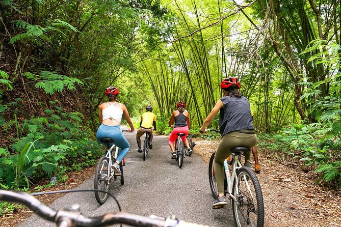4-Hours Bike, Hike & Waterfall Tour in Blue Mountain with Lunch and Pick Up - Is $195.84 a fair price?