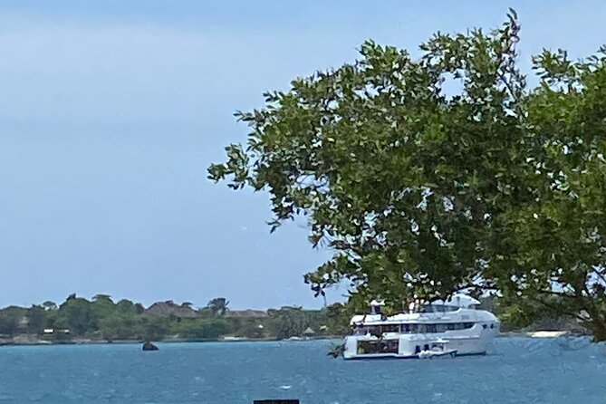 4 Hours Party Boat Catamaran Cruise in Negril - The snorkeling stop in open water