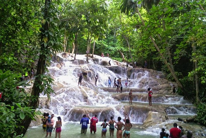 6. Bob Marley 9miles/Dunn's River Private Tour(420 Friendly)final resting place - Who will enjoy this day most?