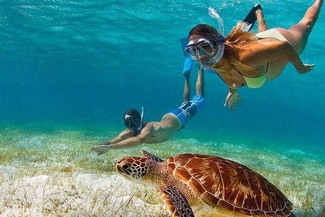 Adventurous-Snorkeling With Sightseeing of Montego Bay - Key points to know before you book