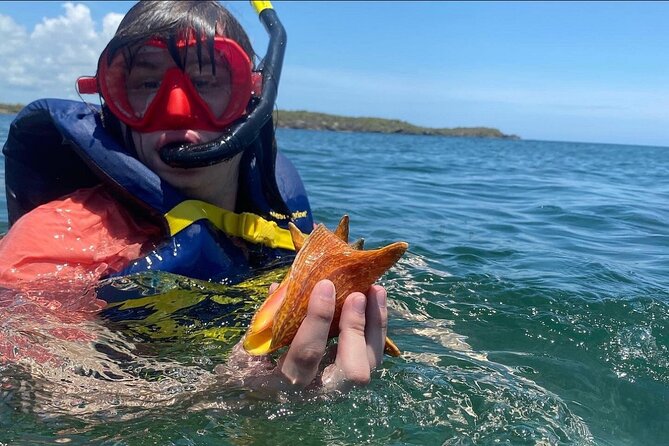 Adventurous-Snorkeling With Sightseeing of Montego Bay - Why families may find this easy to manage