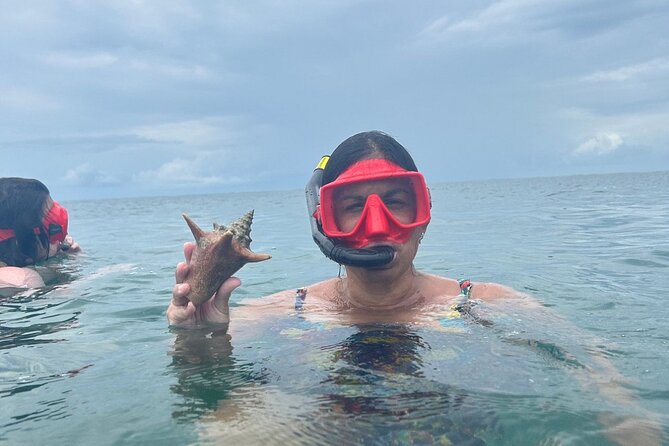 Adventurous-Snorkeling With Sightseeing of Montego Bay - Transport, timing, and the weather question