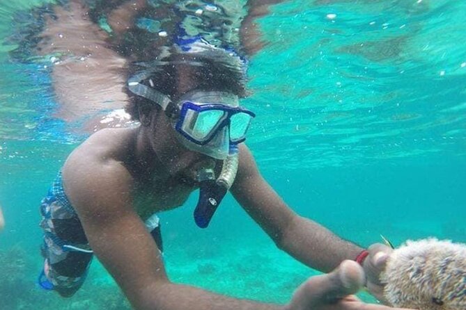 Adventurous-Snorkeling With Sightseeing of Montego Bay - The boat ride to coral reefs and sea life