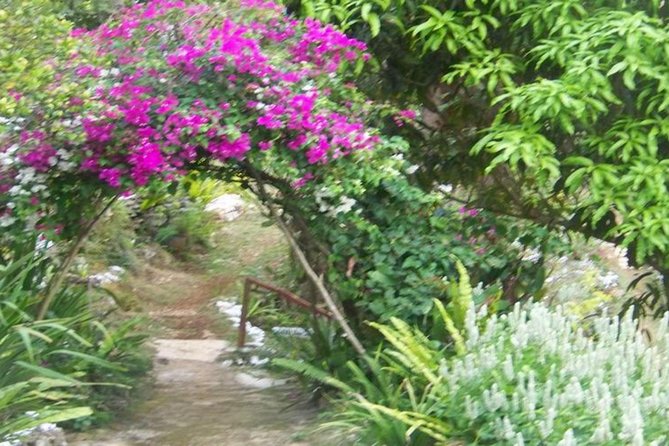 Ahhh Ras Natango Gallery and Garden Private Transfer - The gallery introduces Ras Natango, Tamika, and Ayale