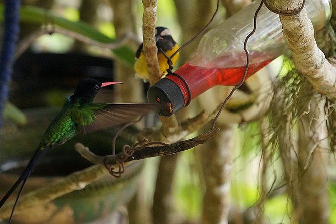 Ahhh Ras Natango Gallery and Garden Private Transfer - Who will enjoy this outing most?