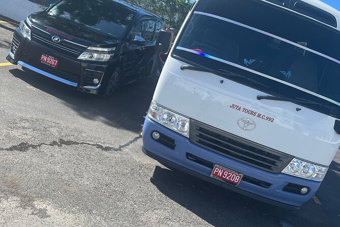 Airport Transfers Private: Montego Bay-hotels,villas & Airbnb - Arrival service and the return to the airport