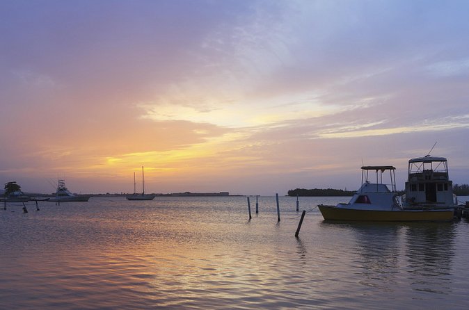 An Evening on the Lagoon: Martha Rafting, Luminous Lagoon and Falmouth Highlight - Waiting for the Luminous Lagoon after sunset