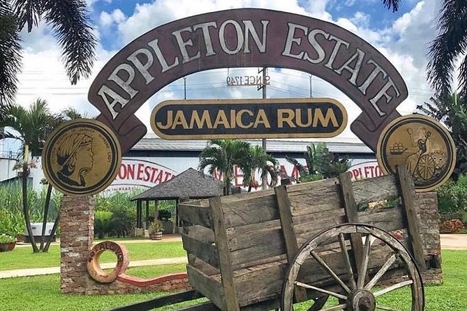 Appleton Estate Rum Private Tour - Who will enjoy this private Appleton outing?