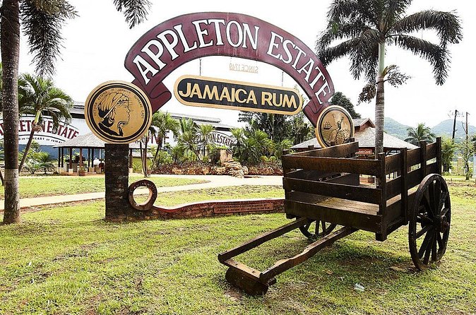Appleton Estate Rum Tour and Tasting from Kingston - Clothing, age, and practical comfort