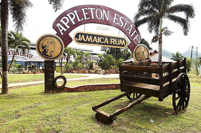 Appleton Estate Rum Tour and Tasting from Ocho Rios - What the tasting adds to the visit