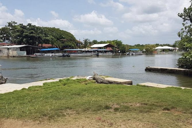Appleton Estate Rum, YS Falls, Black River Safari / Floyd's Pelican Bar Tour - YS Falls: Jamaica’s strongest swimming stop