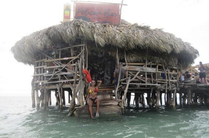 Appleton Estate Rum, YS Falls, Black River Safari / Floyd's Pelican Bar Tour - How to choose your three stops