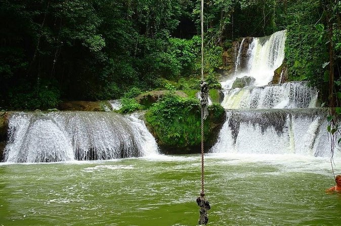 Appleton Estate, Ys Falls and Black River Safari Private Tour - A private driver changes how the day feels