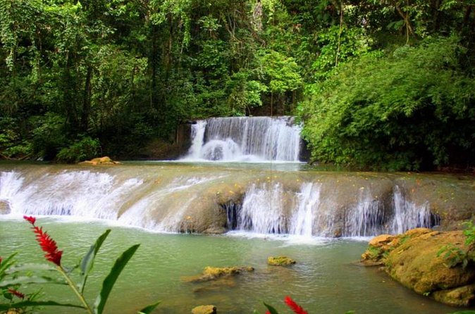 Appleton Estate, Ys Falls and Black River Safari Private Tour - Practical details that affect your decision