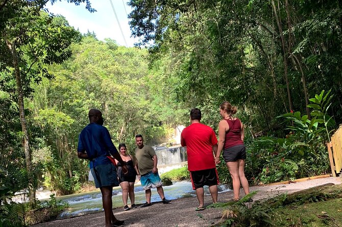 Appleton estate,YS Falls,Black River Safari,Pelican Bar(any 3of4) - Four south-coast experiences in one long day