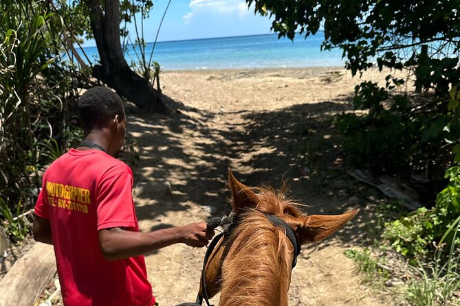 ATV, Bamboo Rafting, Horseback Ride From Montego Bay- Private - Scotchies Drax Hall and the case for staying for lunch