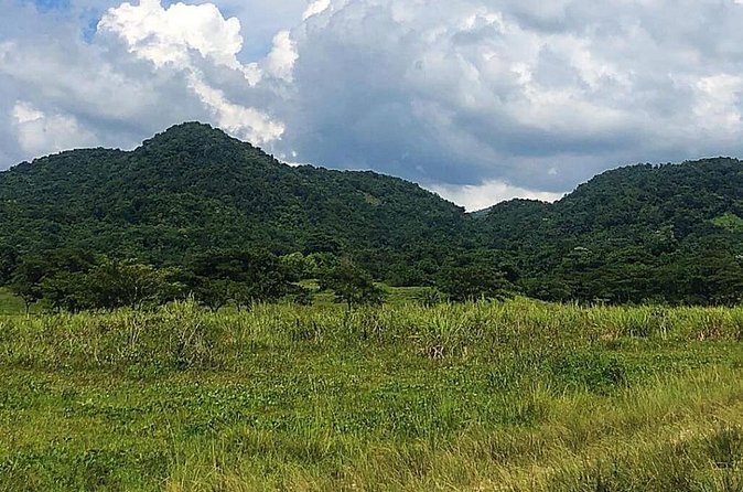 ATV Experience, cultural and social tour - Fruit, sugar cane, and Ital food
