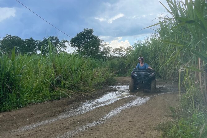 ATV, Zipline, Horseback, Bamboo Rafting and Rick’s Cafe - Ziplining above the Jamaican trees