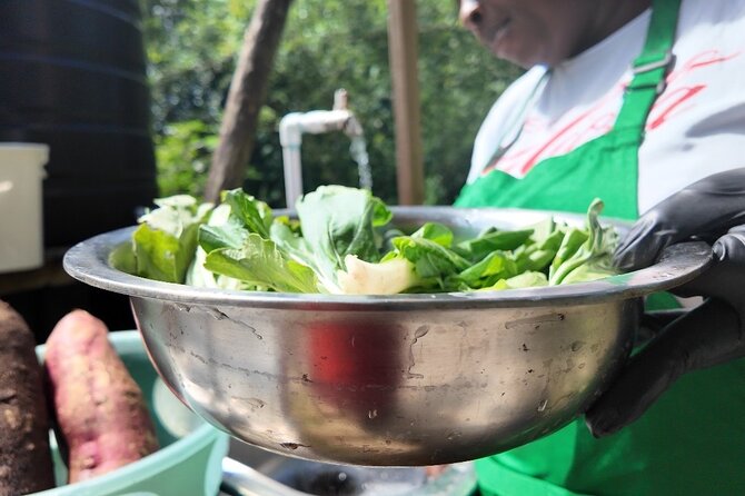 Authentic Jamaican Cooking Experience in the Mountain from mobay - Transportation, timing, and the private-group format
