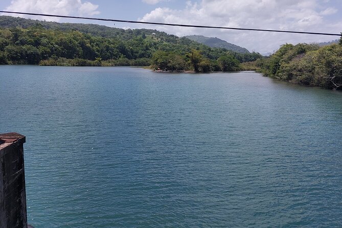 Bamboo Rafting and Boston Jerk Centre Tour in Portland Jamaica - The swim and photo stop
