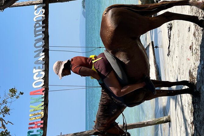 Bamboo Rafting & Horseback -dunns river Transportation Included - Who will enjoy this six-hour combination?