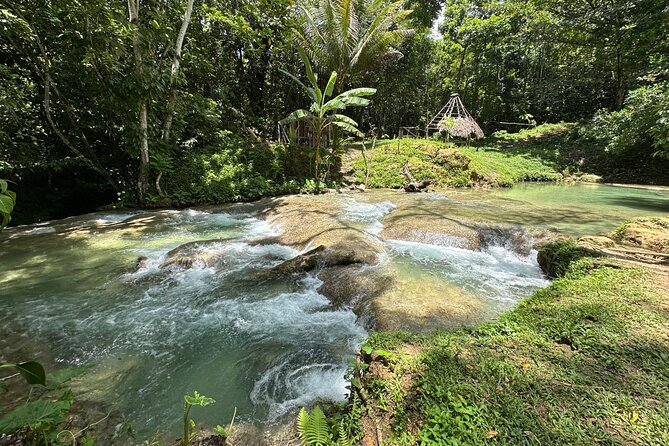 Benta River & Falls Private Tour From Montego Bay - Why private transport changes the value