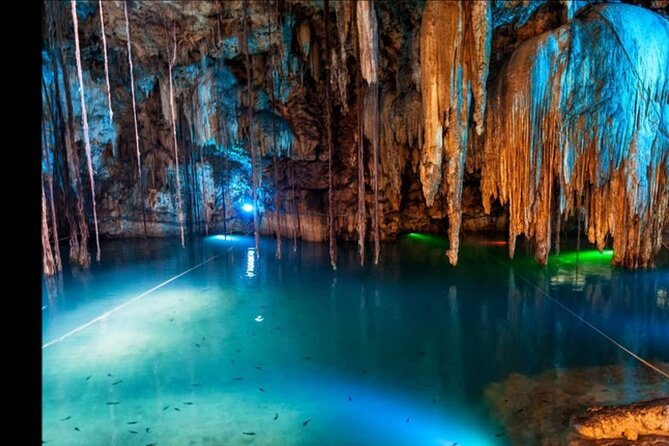 Bioluminescence Lagoon Tour from Montego Bay with Pick Up - Why the Luminous Lagoon glows after dark