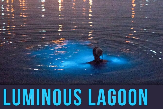 Bioluminescence Lagoon Tour from Montego Bay with Pick Up - The 30-minute glass-bottom boat ride