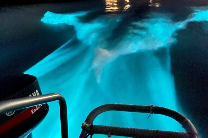 Bioluminescence Lagoon Tour from Montego Bay with Pick Up - Weather, moonlight, and realistic expectations