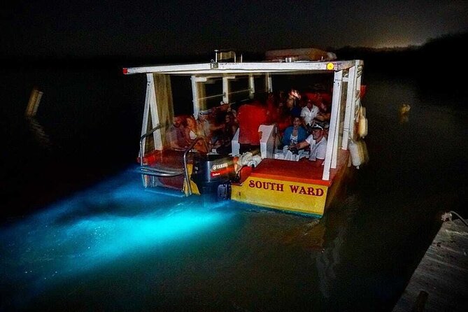 Bioluminescence Lagoon Tour from Montego Bay with Pick Up - From Montego Bay to Falmouth after sunset