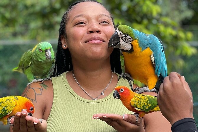 Bird Sanctuary and animal farm Day Tour - A garden walk among trees and herbs