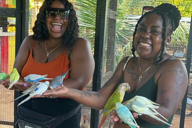Bird Sanctuary and animal farm Day Tour - Is $100 a fair price?