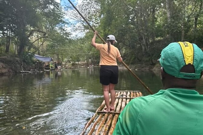Bird Sanctuary and/or Lethe Bamboo Rafting from Montego Bay - Rocklands Bird Sanctuary, where the day begins quietly