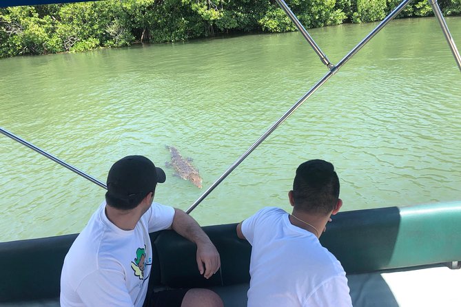Black River Safari and YS Falls - A wildlife-first start on Jamaica’s Black River