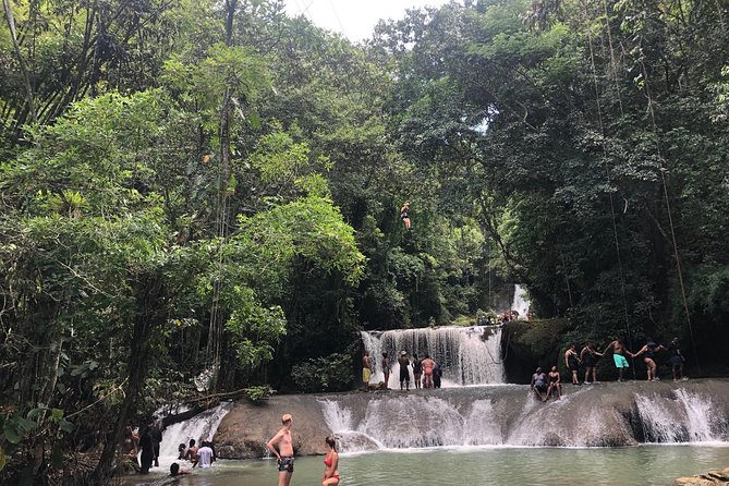 Black River Safari and YS Falls - Lunch with a quieter view
