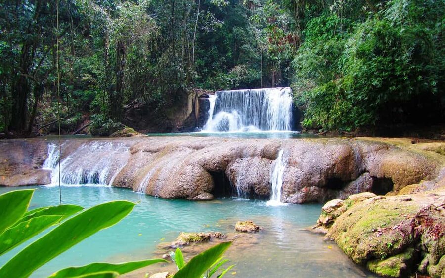 Black River Safari and Ys Falls Tour and Transportation - Key points to know before you book