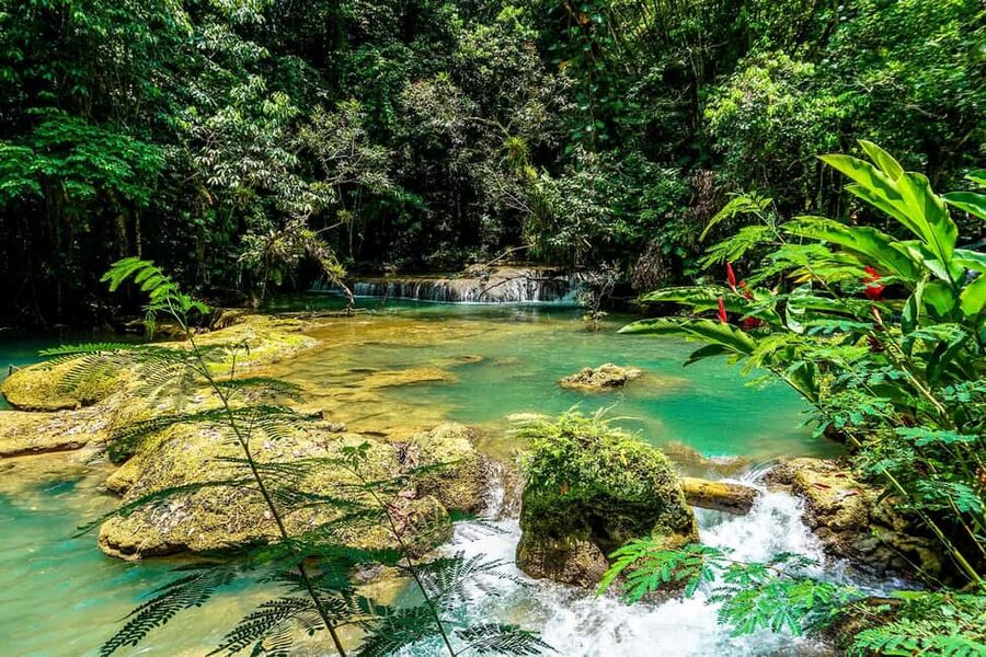 Black River Safari and Ys Falls Tour and Transportation - My take: book it if the combination fits