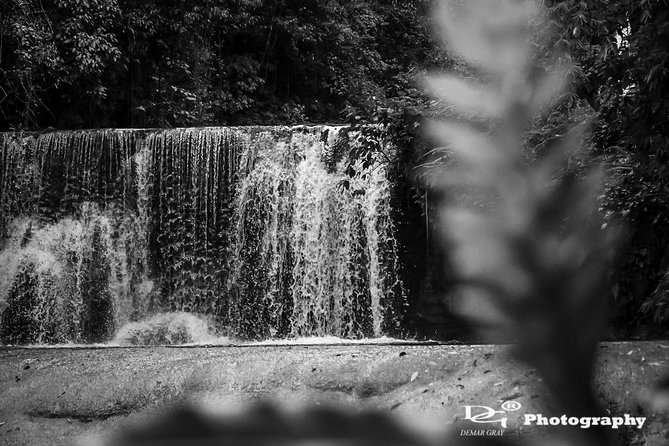 Black River Safari and YS Water Falls - Two very different sides of Jamaica in one day