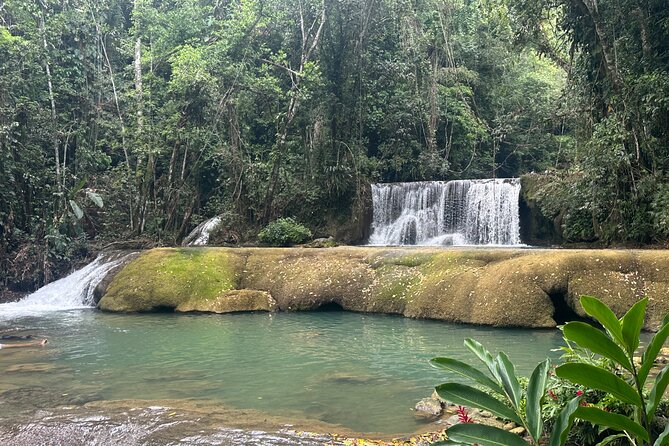 Black River Safari and YS Water Falls - Why the private vehicle is useful